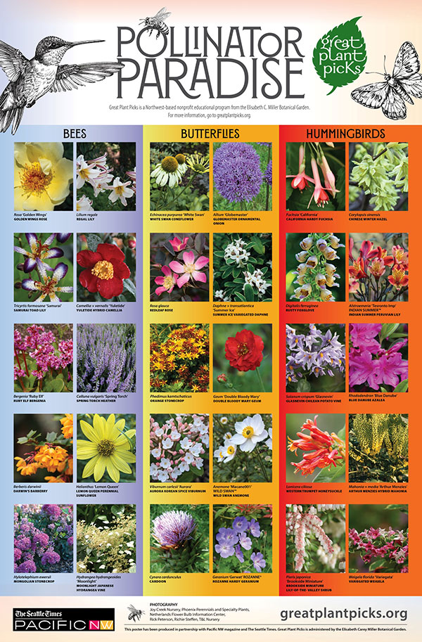 Great Plant Picks: Unbeatable Plants for the Maritime Northwest Garden
